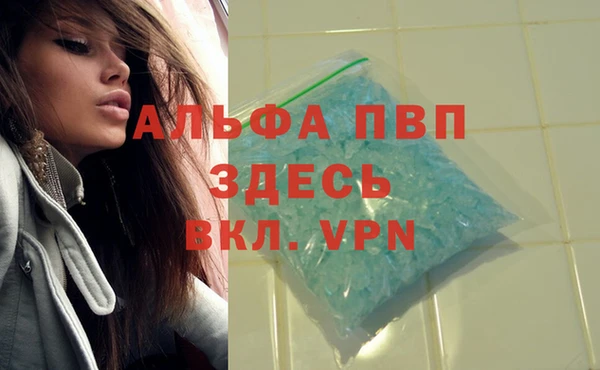 2c-b Вяземский