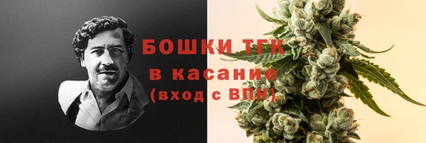 2c-b Вяземский