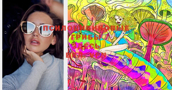 jwh Вязьма